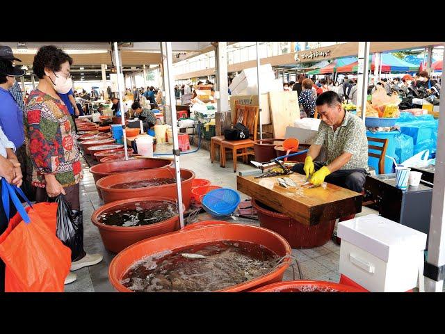 Amazing ! Fish Cutting Master ! | Korean Street Food