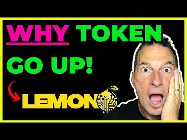 WHY Token Go Up!