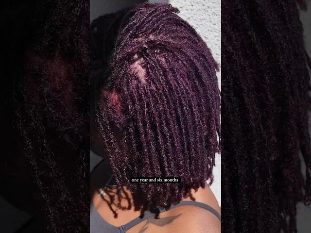 MICROLOCS JOURNEY - 1 year and six months #adirakalon #diymicrolocs