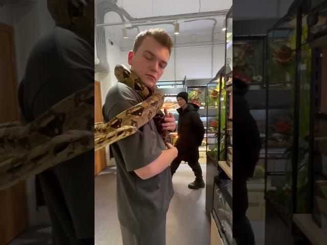Наш совет в конце  #планетаэкзотики #региус #император #зоомагазин #рептилии #змеи #удав #питон