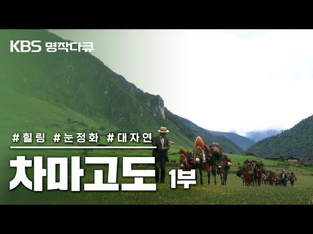 [명작다큐️] 차마고도 茶馬古道 6부작 | 1부 마지막 마방 (KBS 2007.09.05 방송)