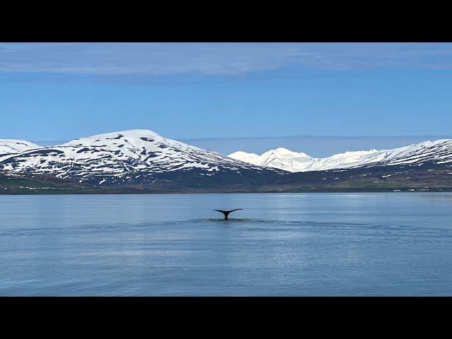 Mit Aida Sol in Schottland, Island und Norwegen