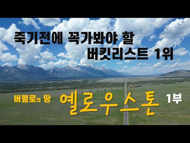 세상에서 가장 아름다운 옐로우스톤 국립공원#미국여행#미국 국립공원 여행