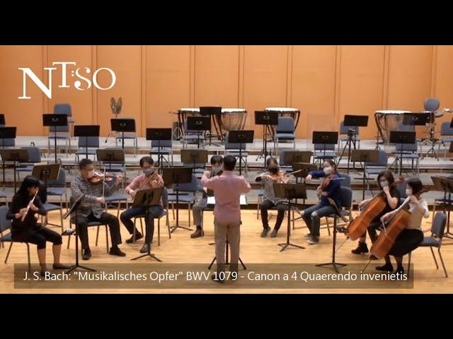 NTSO join musicalofferingweiwuying