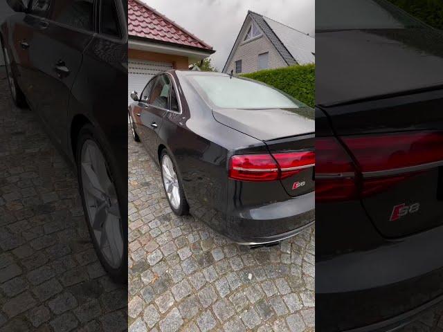 Like a BOSS!  Audi S8 plus #shorts