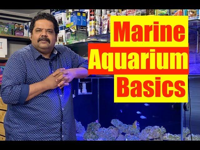 Basics of a Marine Aquarium | Mayur Dev's Tips for Keeping Healthy Saltwater Reef Aquarium  HD 1080p