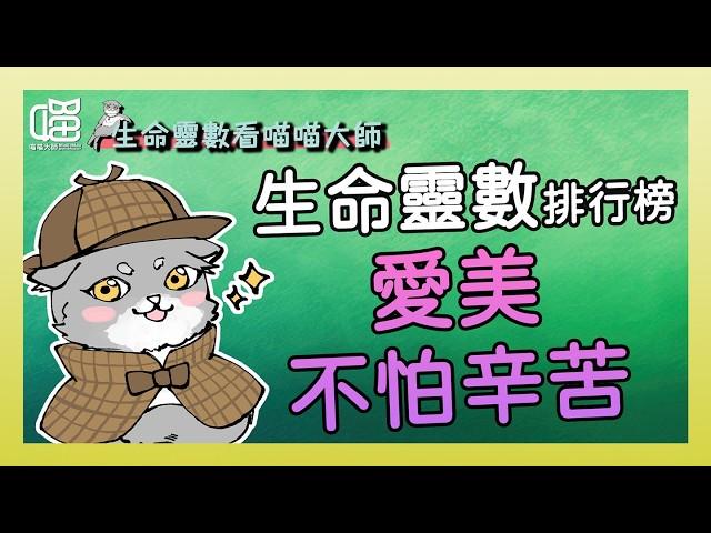 愛美就不怕辛苦Top3 - 生命靈數排行榜。喵喵大師 S15ep12