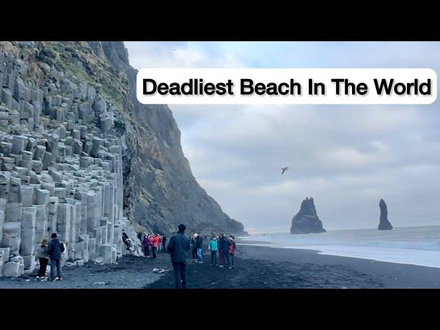 Most dangerous beach in the world | Iceland Travel | Sneaker waves | Reynisfjara Beach | Black sand