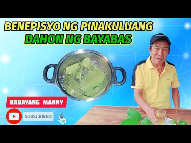 Benepisyo ng pinakuluang dahon ng bayabas