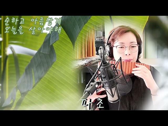 파초(수와진) Panflute 연주 조은혜