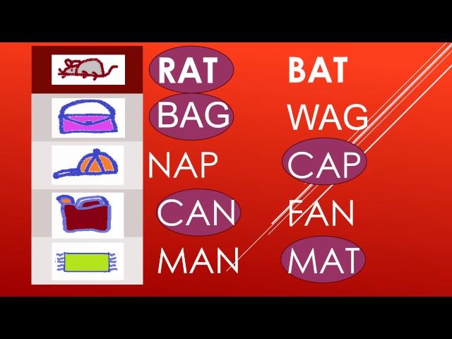 ENGLISH/CIRCLE THE CORRECT WORD/2
