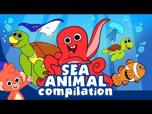 Learn Sea Animals for Kids | Ocean animal cartoon compilation | Club Baboo