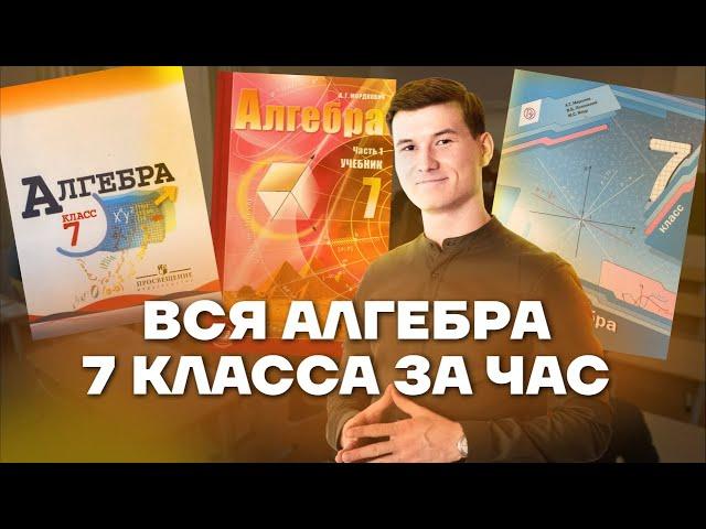 Алгебра 7 класс с нуля | Математика | Умскул