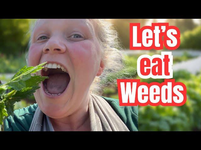 I Turned My Allotment Garden Weeds Into Fine Dining