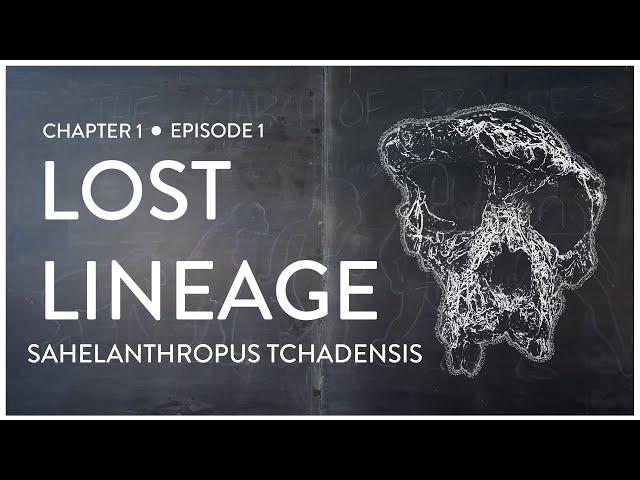 Lost Lineage: Sahelanthropus tchadensis