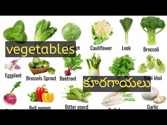 Indian popular vegetables names vegetables names in english to Telugu different types of vegetables