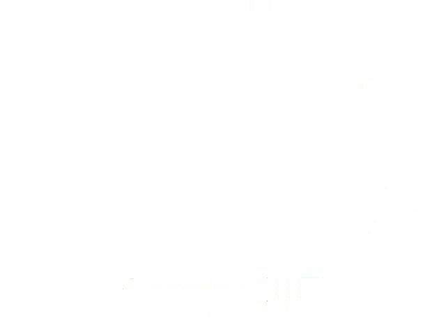 3D White Board Animation Video