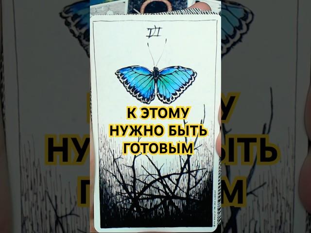 ️It's Important for You to Hear This Today  Tarot Fortune Telling