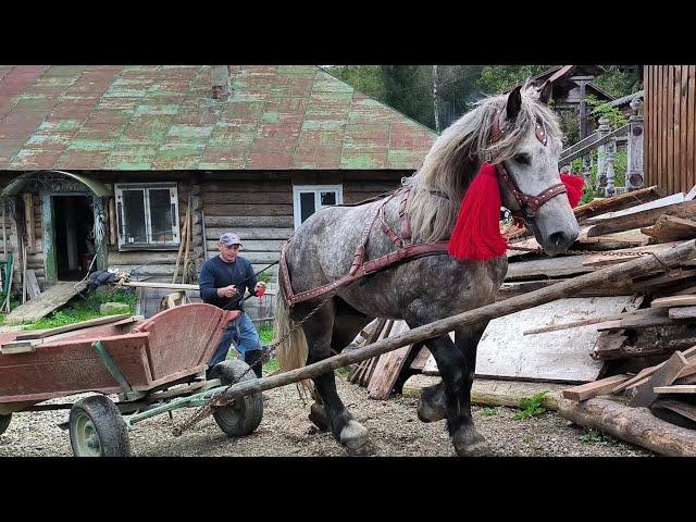 ОБ'ЇХАЛИ ВОЛОДІННЯ РІЗБЯРА/КАТАЄМОСЯ ГІРСЬКИМИ ДОРОГАМИ/АРДЕН ФУНТ ,МОЖЛИВИЙ ПРОДАЖ.