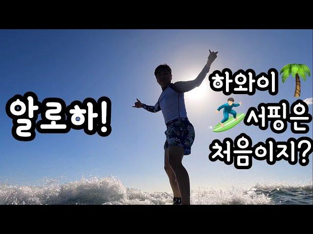 어서와! 하와이 서핑은 처음이지? ft.한국인강사, 파도