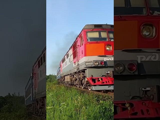 Тепловоз ТЭП70-0124 на перегоне Дно - Разъезд 241 км