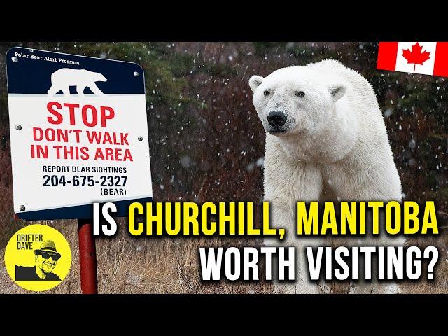 The Polar Bear Capital of the World!  (Exploring Churchill, Manitoba & the Hudson Bay coastline) 