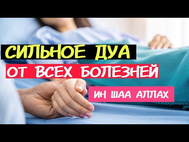  ИСЦЕЛЕНИЕ ОТ ЛЮБЫХ БОЛЕЗНЕЙ И НЕДУГОВ. ИН ШАА АЛЛАХ! СУРА АЛЬ-ФАТИХА 33 РАЗА