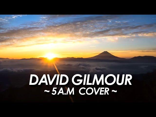 DAVID GILMOUR 『 5 A.M 』 COVER 2017 All Instrument by miu