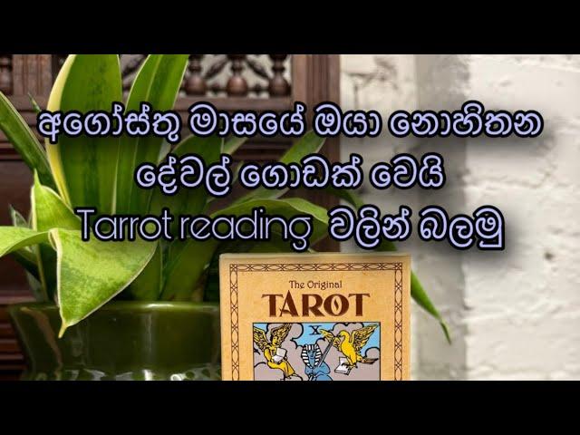 මේ අගෝස්තු මාසය ගැන බලමු|ඔයාට කොහොමද?| Tarrot|colective reading