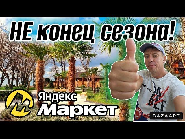 #Кабардинка. Этот курорт не перестаёт удивлять! Что говорят отдыхающие?! Распаковка Яндекс Маркет.