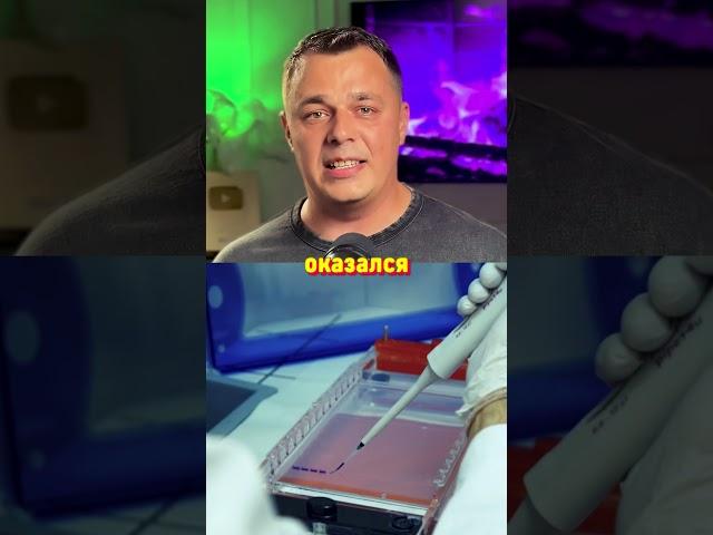 Муж Сделал ДНК и Узнал, Что Все Дети Не от Него