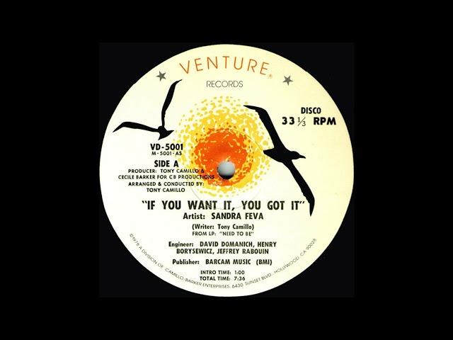 Sandra Feva - If You Want It, You Got It  (12" Original)