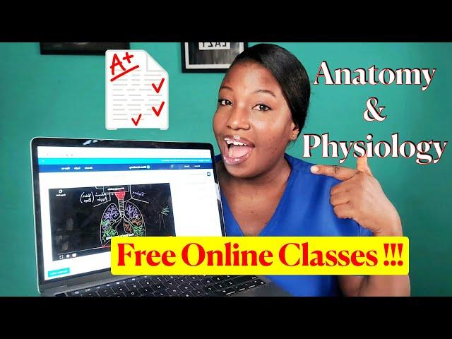 Take This Free Online Anatomy and Physiology Class to Master the Course