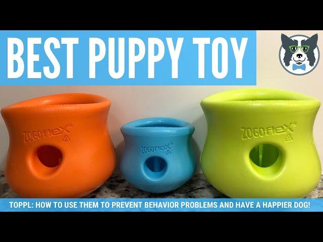 Best Food Toy for Your Puppy or Dog: Solve Behavior Problems Using a Westpaw Toppl Toy!