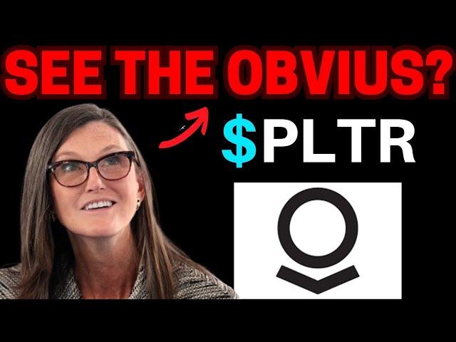 PLTR Stock NEXT WEEK ALERT! (buy?) PLTR best stock trading software