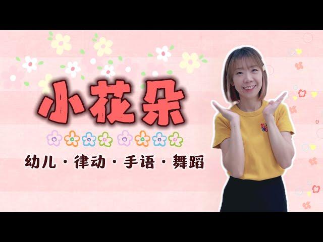 小花朵《音乐律动手语》