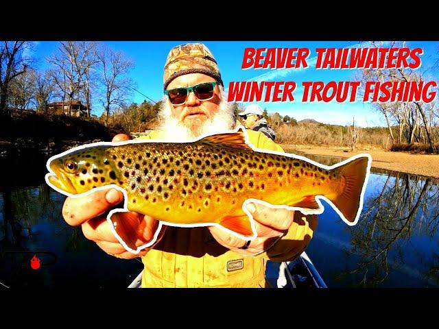 Beaver Tailwaters Winter Trout Fishing