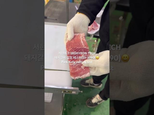 서현테크 SEOHYEON TECH돼지갈비 칼집 테스트(SY-3790) Pork belly cutting test