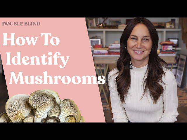 How to Identify Mushrooms in Nature  | DoubleBlind