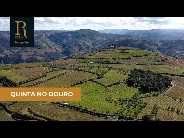 Quinta no Douro com 3 ha para turismo | REF. 3261