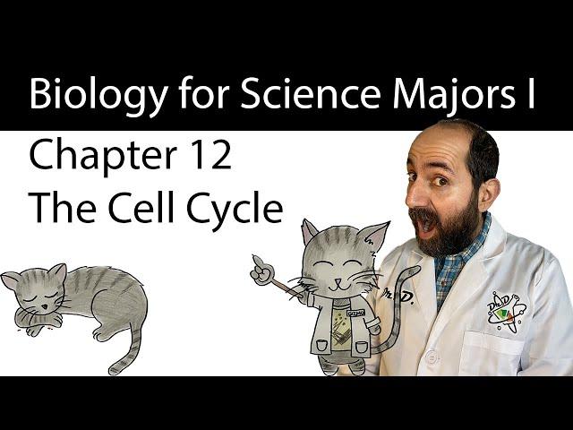 Chapter 12 - The Cell Cycle