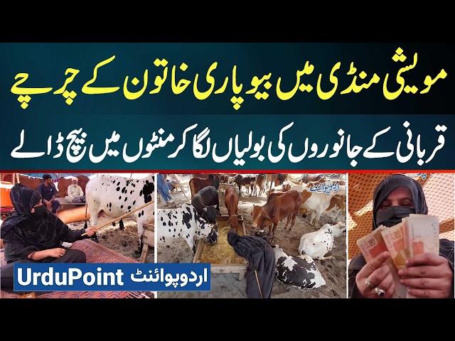 Eid Per Qurbani Ke Janwar Sale Karne Wali Lady Viral - Selling Eid Ul Adha Qurbani Ke Janwar