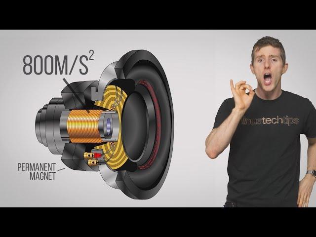 What are Voice Coils?