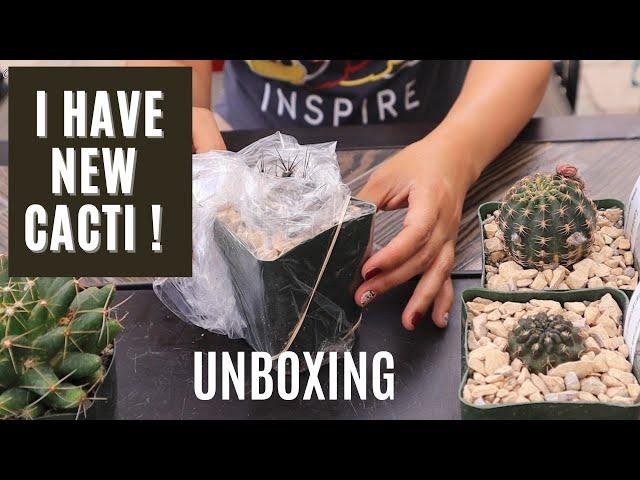 New #Cactus Unboxing | #PlanetDesert