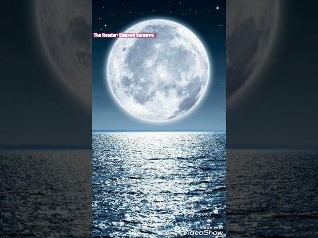 قرآننا لغه حياتنا