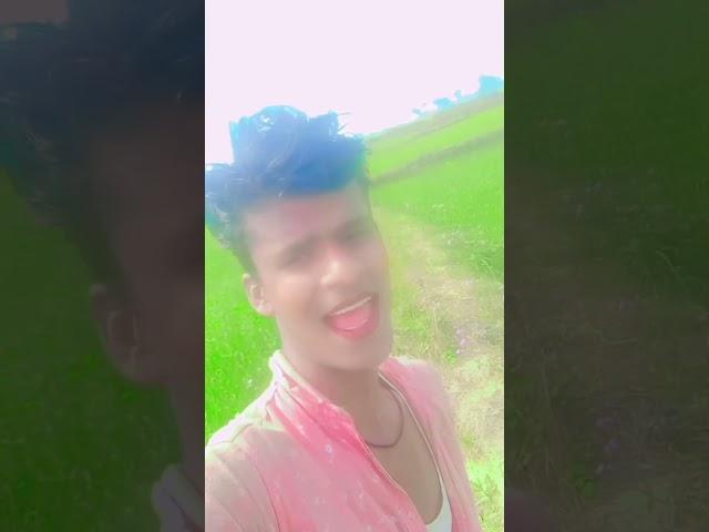 Aslam Alam 199
