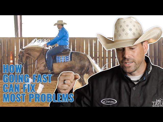 How To Make Horses COMFORTABLE With SPEED