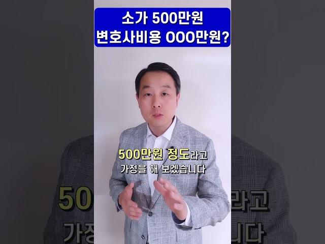 변호사  민사소송 - 소가 500만원인데 변호사 비용만 얼마라구요?? 감정에 휩쓸리지 말고 합리적으로 실익을 꼭 챙기세요.