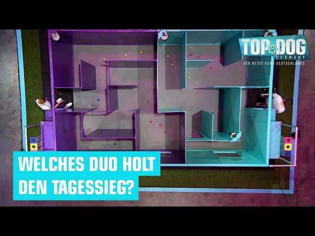 Mia & Frieda VS. Tim & Yara  | Top Dog Germany 2024