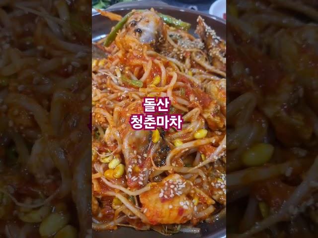 돌산 청춘마차 #조옥성박사tv